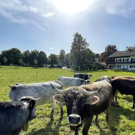 Ferienwohnung Familie Zint Sonthofen Buitenkant foto