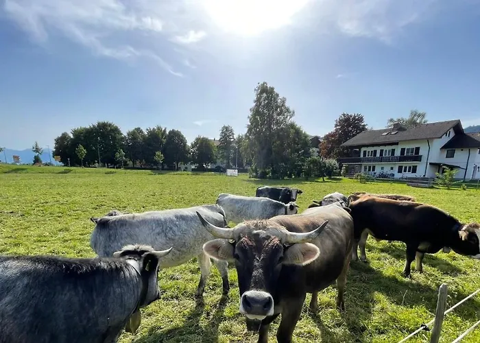 Ferienwohnung Familie Zint