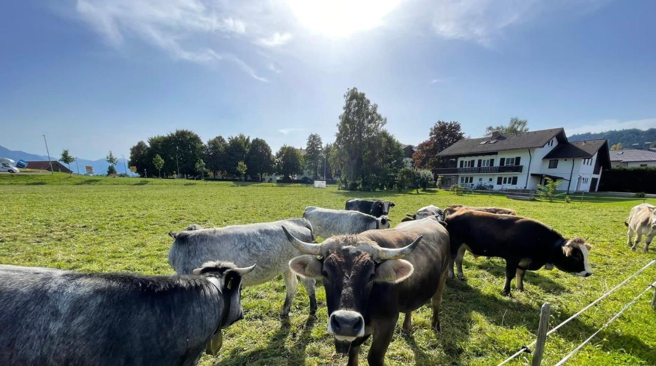 Familie Zint * Sonthofen
